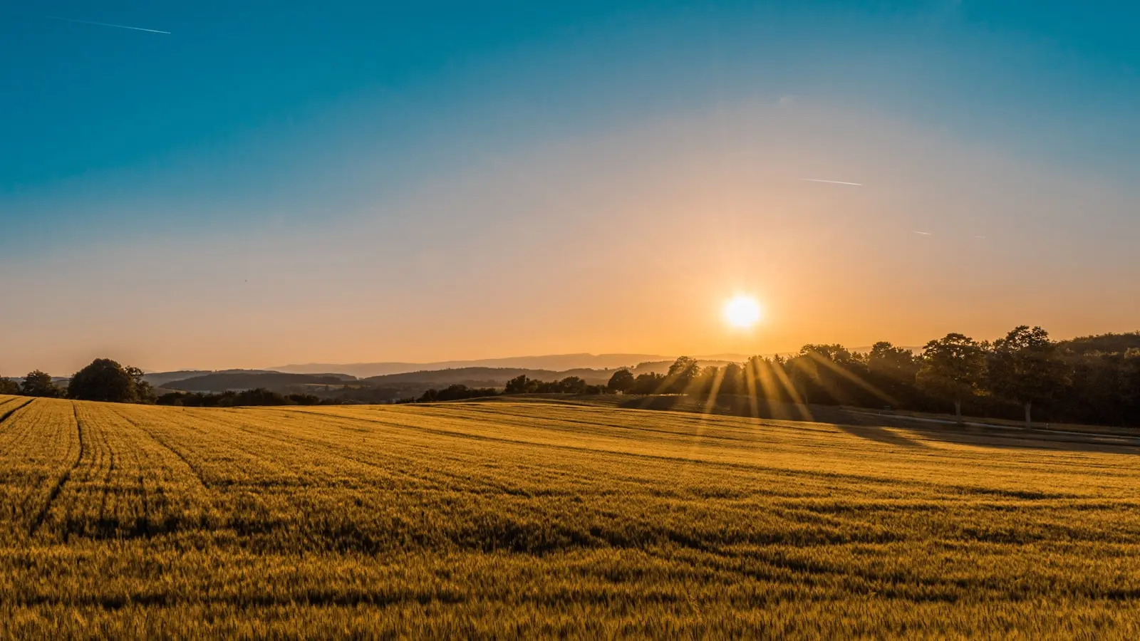 Campos dorados del interior de la provincia de Alicante al atardecer